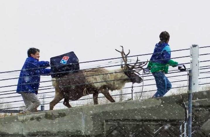 reindeer-dominos-delivery