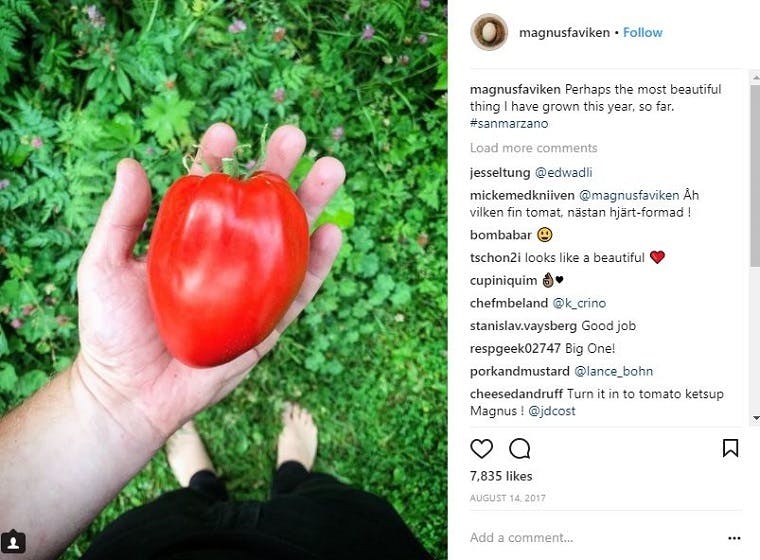 Amateur Food Porn - Celebrity chefs and their Instagram strategies â€“ More than ...