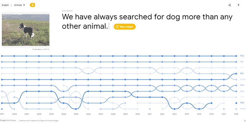 Visualisation of the top animal search trends from the past 20 years, with dogs at the top and cats below, followed by fish.