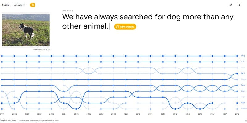 dog search trends