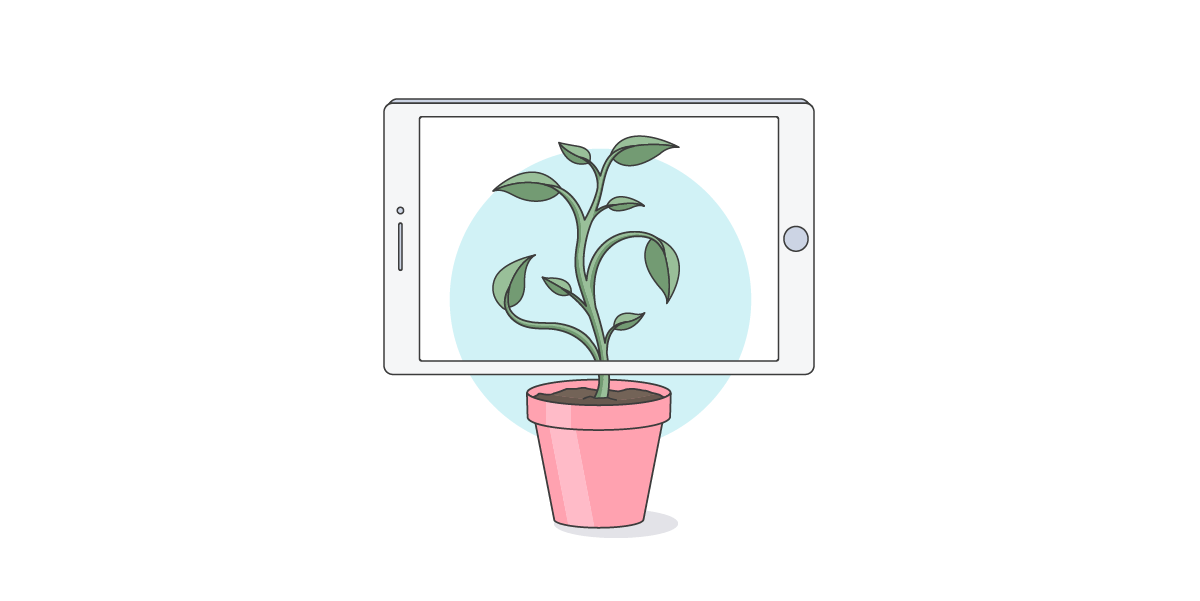 Digital transformation graphic depicting a plant growing onto a tablet screen