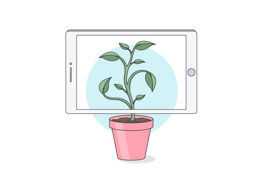 Digital transformation graphic depicting a plant growing onto a tablet screen