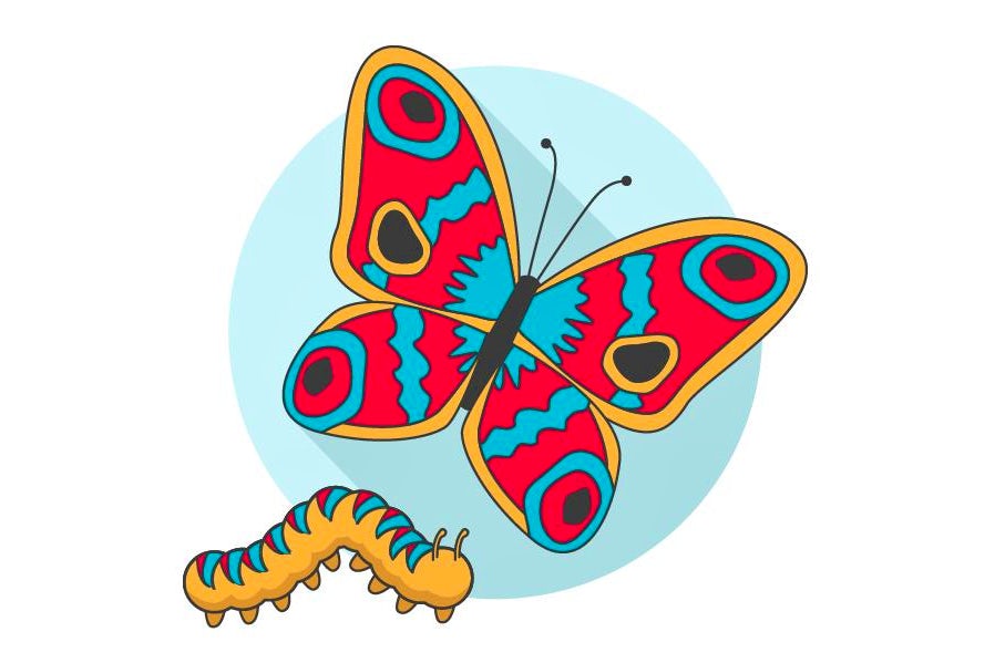 Illustration of a caterpillar and a butterfly