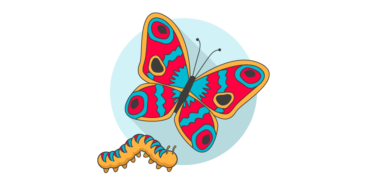 Illustration of a caterpillar and a butterfly