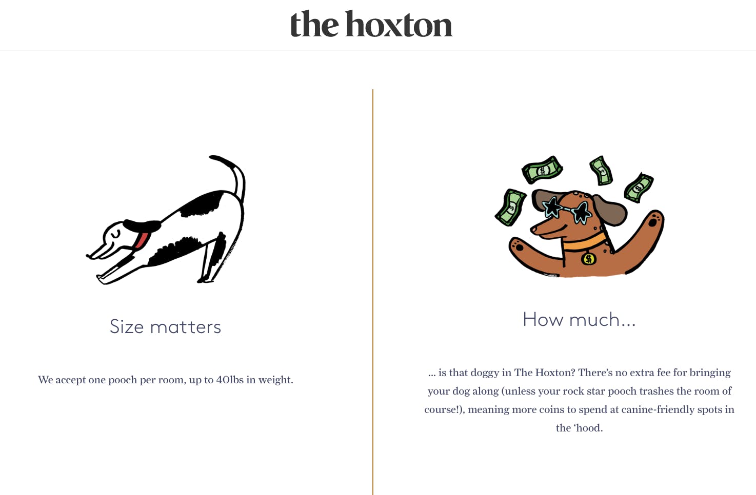 the hoxton dog