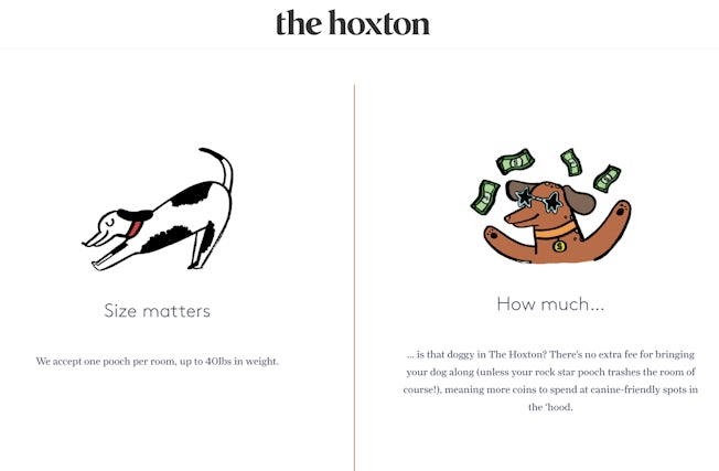 the hoxton dog
