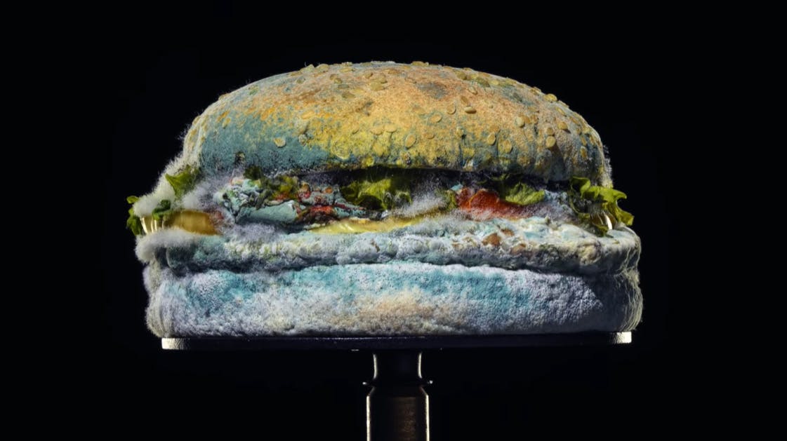 Burger Kind Mouldy Whopper