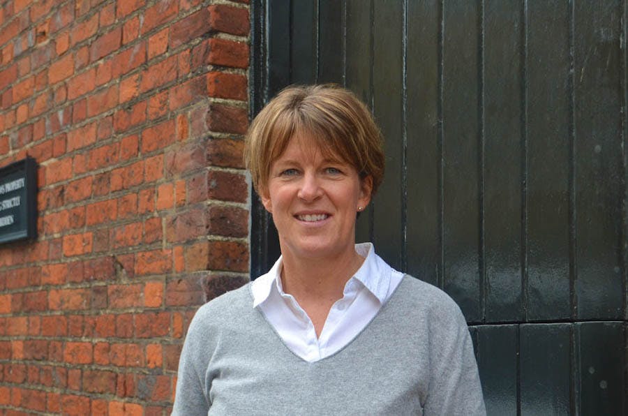 Karamely. Бэрри куин. Mary says. Reported speech statements. Mary says.