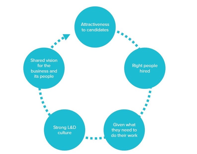 how-does-an-organisation-of-learners-become-a-learning-organisation