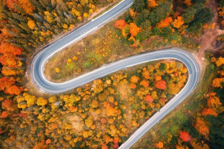 aerial view of s-shaped road winding through forest with autumn colours