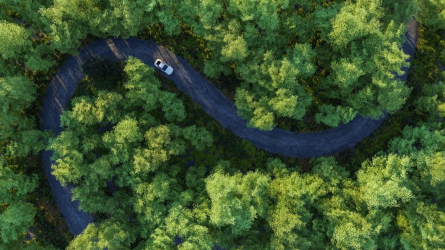 aerial view of car travelling down a black road winding through a lush green forest