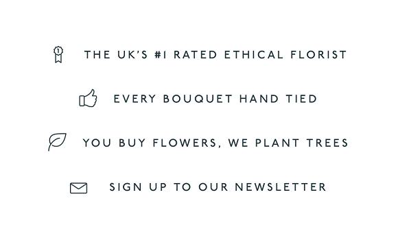 Six impactful examples of ecommerce USP bars