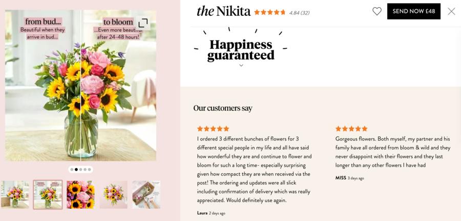 10 examples of effective ecommerce product pages